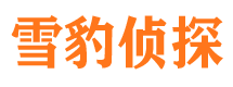 清流找人公司